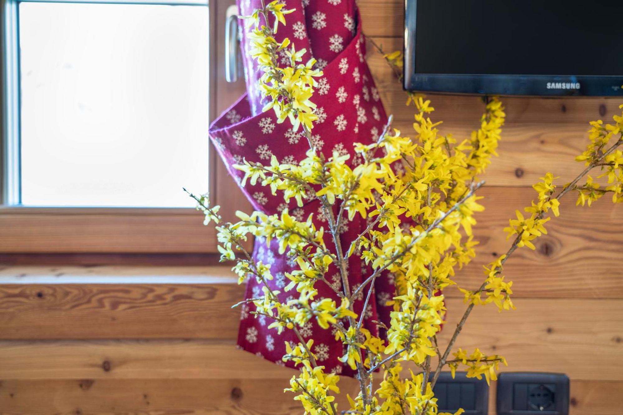 Chalet Camping Fae 1 Madonna Esterno foto